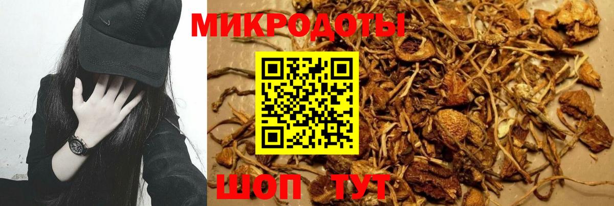 Псилоцибиновые грибы мицелий Городец