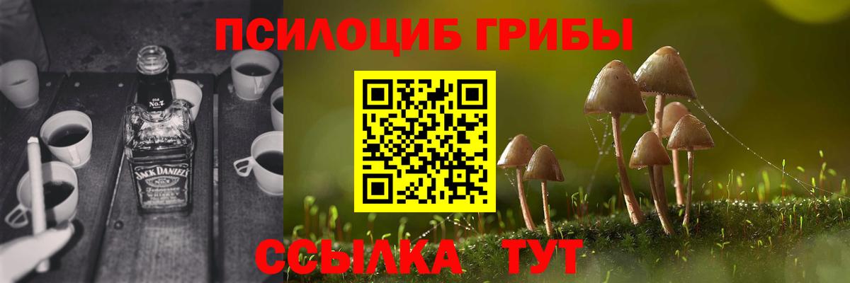 Городец  Псилоцибиновые грибы мицелий  Вход с VPN 